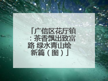 广信区花厅镇：茶香飘出致富路 绿水青山绘新篇（图）