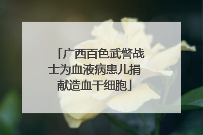 广西百色武警战士为血液病患儿捐献造血干细胞