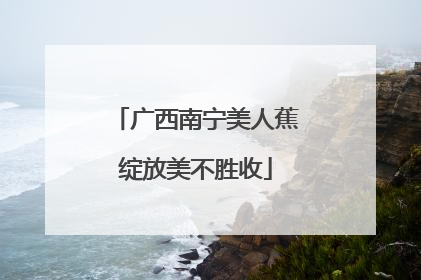 广西南宁美人蕉绽放美不胜收