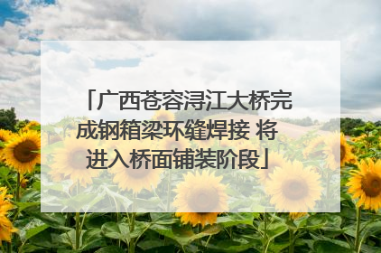 广西苍容浔江大桥完成钢箱梁环缝焊接 将进入桥面铺装阶段