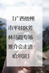 广西贺州市平桂区芳林马蹄专场推介会走进哈尔滨