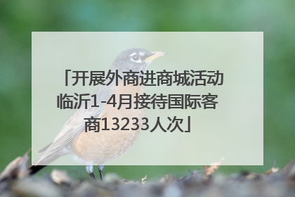 开展外商进商城活动 临沂1-4月接待国际客商13233人次