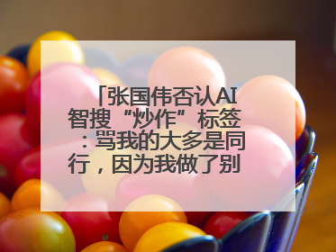 张国伟否认AI智搜“炒作”标签：骂我的大多是同行，因为我做了别人做不了的事
