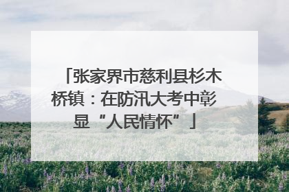 张家界市慈利县杉木桥镇：在防汛大考中彰显“人民情怀”