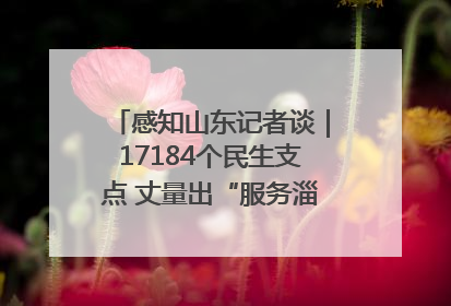 感知山东记者谈｜17184个民生支点 丈量出“服务淄博”的文明温度