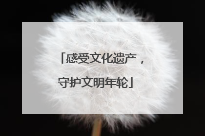 感受文化遗产，守护文明年轮