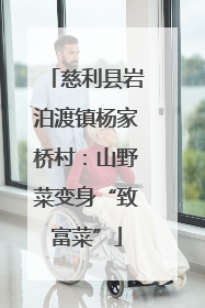 慈利县岩泊渡镇杨家桥村：山野菜变身“致富菜”