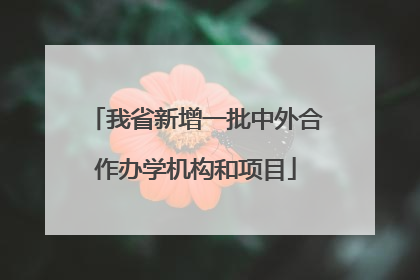 我省新增一批中外合作办学机构和项目