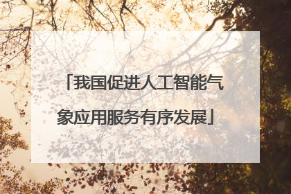 我国促进人工智能气象应用服务有序发展