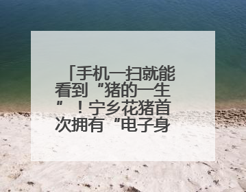 手机一扫就能看到“猪的一生”！宁乡花猪首次拥有“电子身份证”