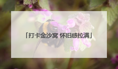 打卡金沙窝 怀旧感拉满