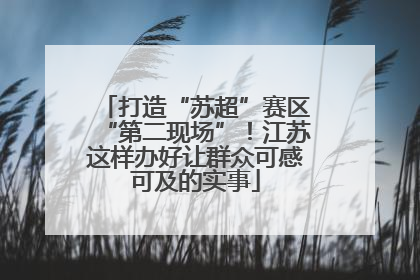 打造“苏超”赛区“第二现场”！江苏这样办好让群众可感可及的实事