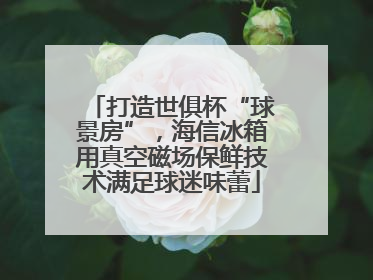 打造世俱杯“球景房”，海信冰箱用真空磁场保鲜技术满足球迷味蕾