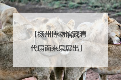 扬州博物馆藏清代扇面来泉展出