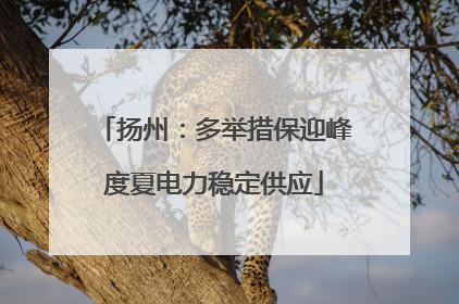 扬州：多举措保迎峰度夏电力稳定供应