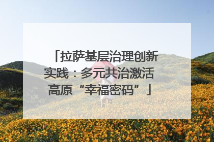 拉萨基层治理创新实践：多元共治激活高原“幸福密码”