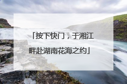 按下快门，于湘江畔赴湖南花海之约