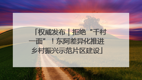 权威发布｜拒绝“千村一面”！东阿差异化推进乡村振兴示范片区建设