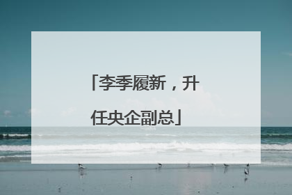 李季履新，升任央企副总