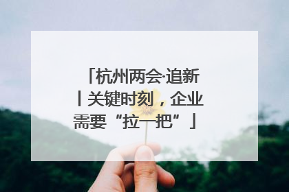 杭州两会·追新丨关键时刻，企业需要“拉一把”