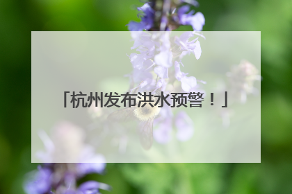 杭州发布洪水预警！