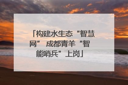 构建水生态“智慧网” 成都青羊“智能哨兵”上岗