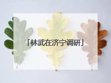 林武在济宁调研