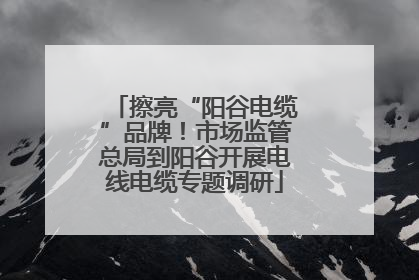 擦亮“阳谷电缆”品牌！市场监管总局到阳谷开展电线电缆专题调研