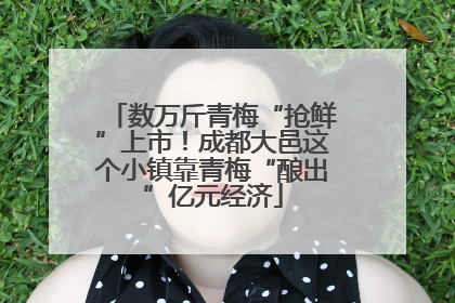 数万斤青梅“抢鲜”上市！成都大邑这个小镇靠青梅“酿出”亿元经济