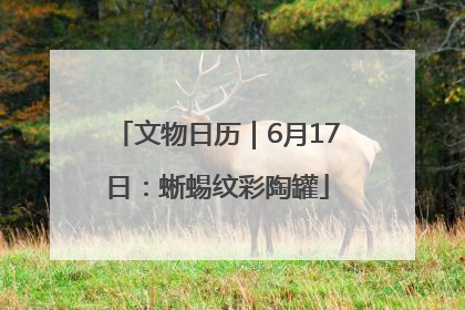文物日历｜6月17日：蜥蜴纹彩陶罐