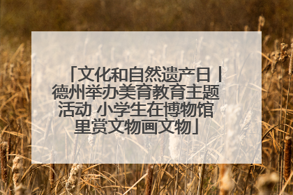 文化和自然遗产日丨德州举办美育教育主题活动 小学生在博物馆里赏文物画文物