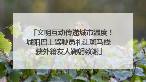 文明互动传递城市温度！城阳巴士驾驶员礼让斑马线获外籍友人鞠躬致谢
