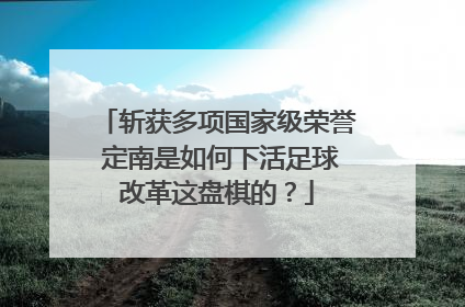 斩获多项国家级荣誉 定南是如何下活足球改革这盘棋的？