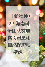 新物种+2!海南科研团队发现素贞灵芝和自然保护地壁虎