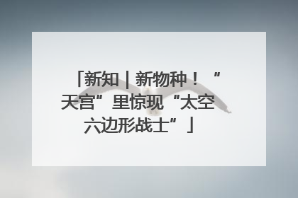 新知｜新物种！“天宫”里惊现“太空六边形战士”