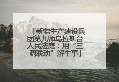 新疆生产建设兵团第九师乌拉斯台人民法庭：用“三调联动”解牛事
