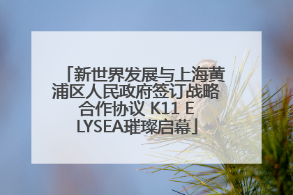 新世界发展与上海黄浦区人民政府签订战略合作协议 K11 ELYSEA璀璨启幕