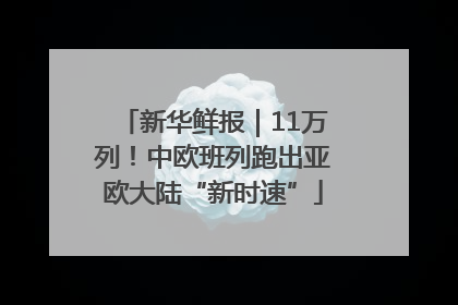 新华鲜报｜11万列！中欧班列跑出亚欧大陆“新时速”
