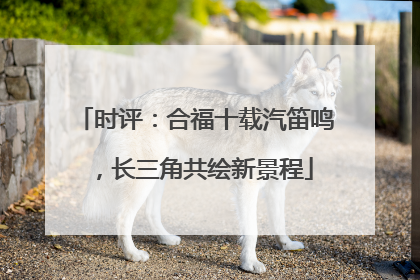 时评：合福十载汽笛鸣，长三角共绘新景程