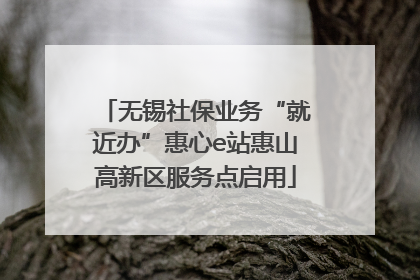 无锡社保业务“就近办”惠心e站惠山高新区服务点启用