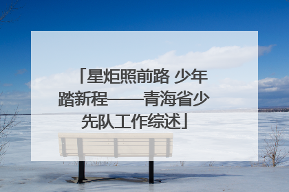 星炬照前路 少年踏新程——青海省少先队工作综述