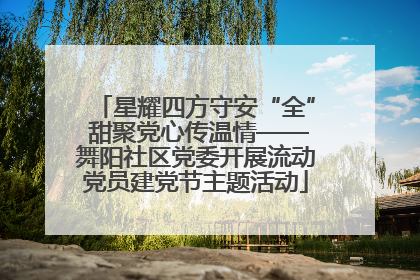 星耀四方守安“全” 甜聚党心传温情——舞阳社区党委开展流动党员建党节主题活动