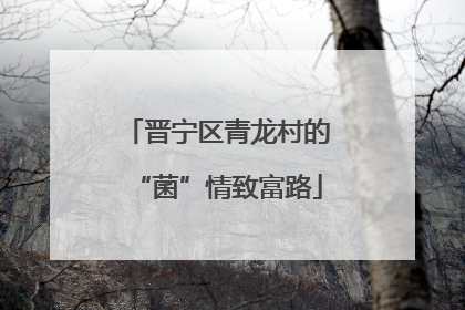 晋宁区青龙村的“菌”情致富路