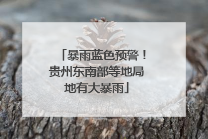 暴雨蓝色预警！贵州东南部等地局地有大暴雨