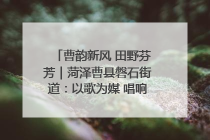 曹韵新风 田野芬芳｜菏泽曹县磐石街道：以歌为媒 唱响乡土“新歌声”