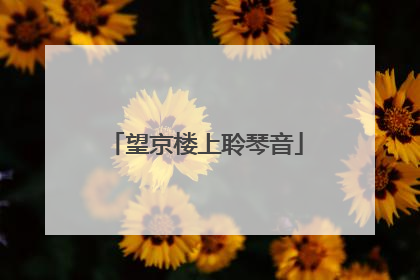 望京楼上聆琴音