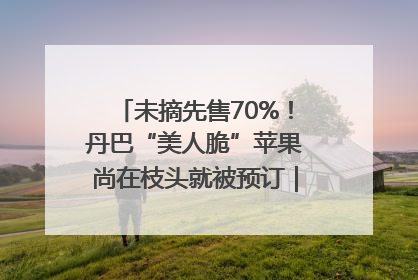未摘先售70%！丹巴“美人脆”苹果尚在枝头就被预订｜长征路上看四川