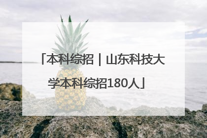 本科综招｜山东科技大学本科综招180人