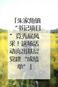 朱家角镇“书记项目”竞秀展风采！这场活动亮出基层党建“成绩单”