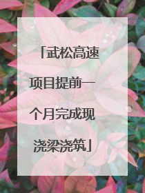 武松高速项目提前一个月完成现浇梁浇筑